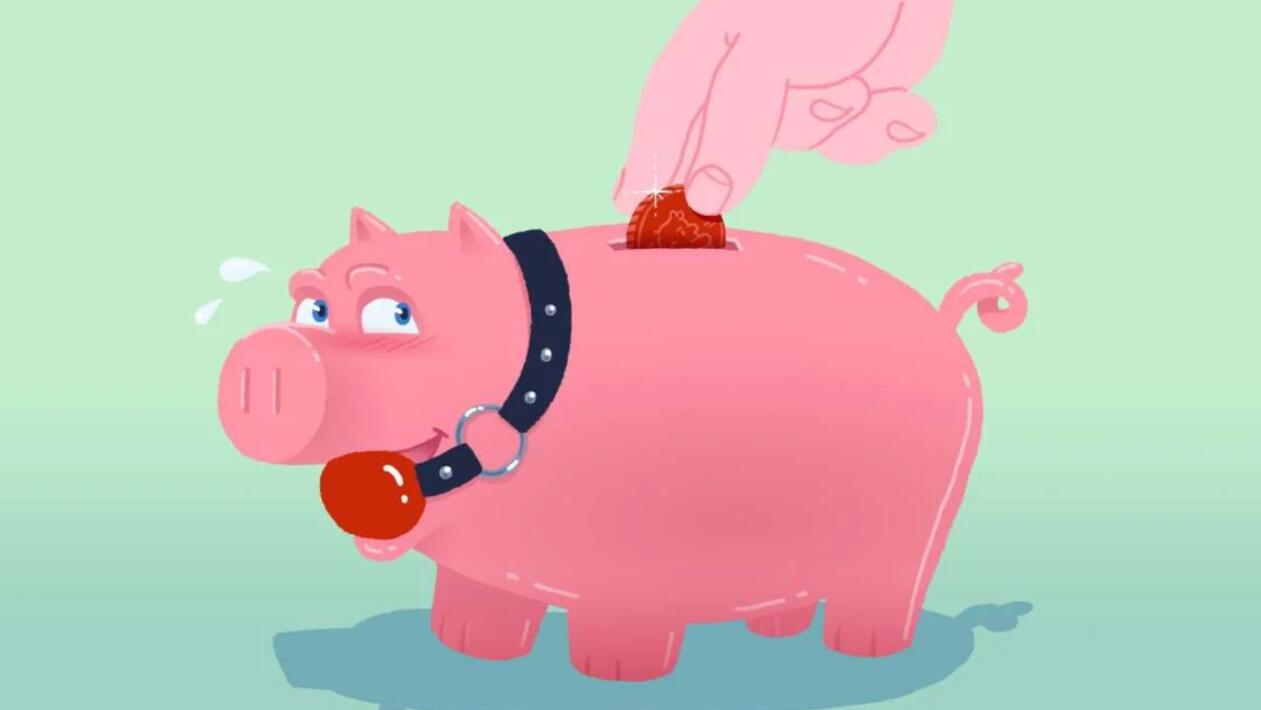 paypig-app